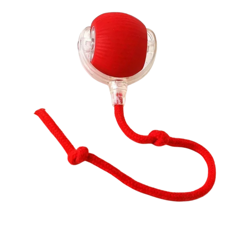 Rechargeable Smart Cat Toy – Auto-Rolling Ball for Indoor Cats & Kittens